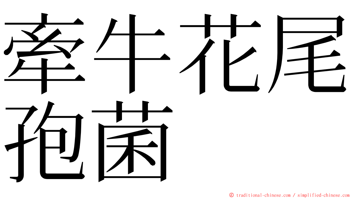 牽牛花尾孢菌 ming font
