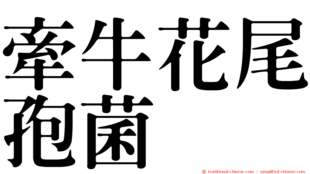 牽牛花尾孢菌