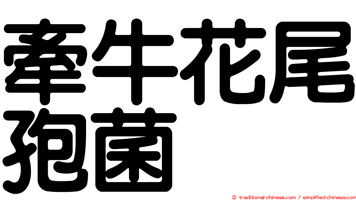 牽牛花尾孢菌