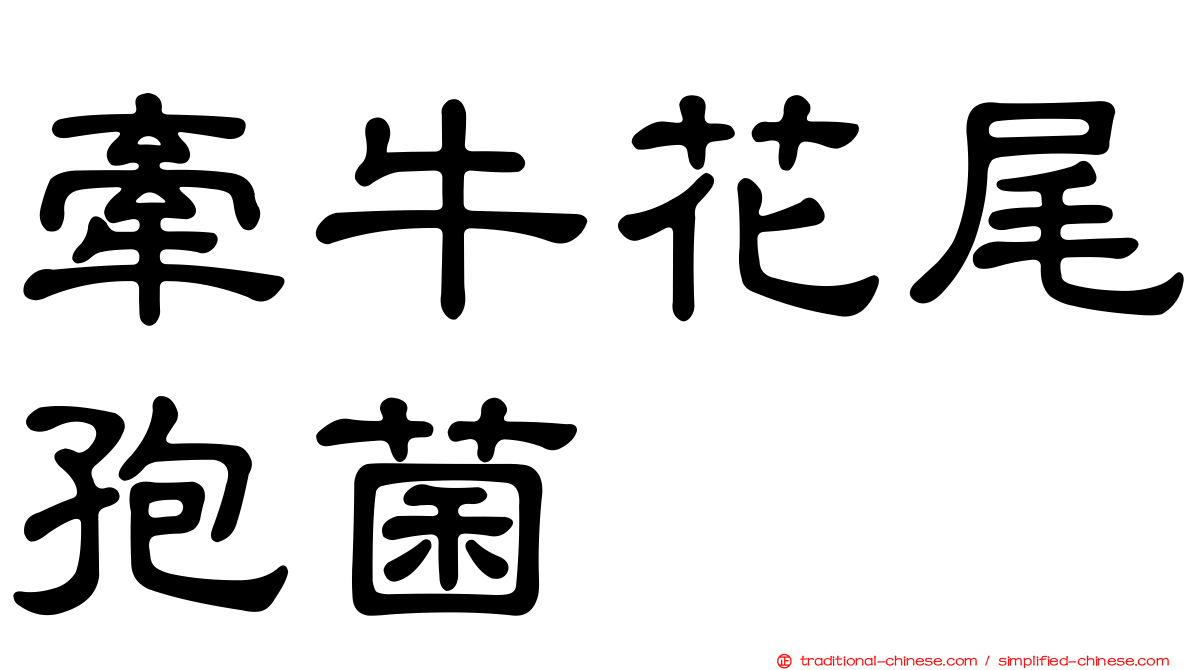 牽牛花尾孢菌