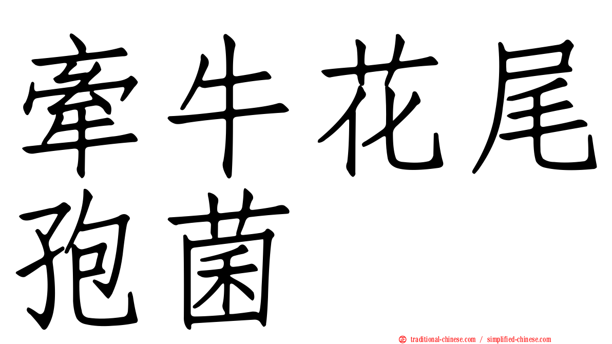 牽牛花尾孢菌