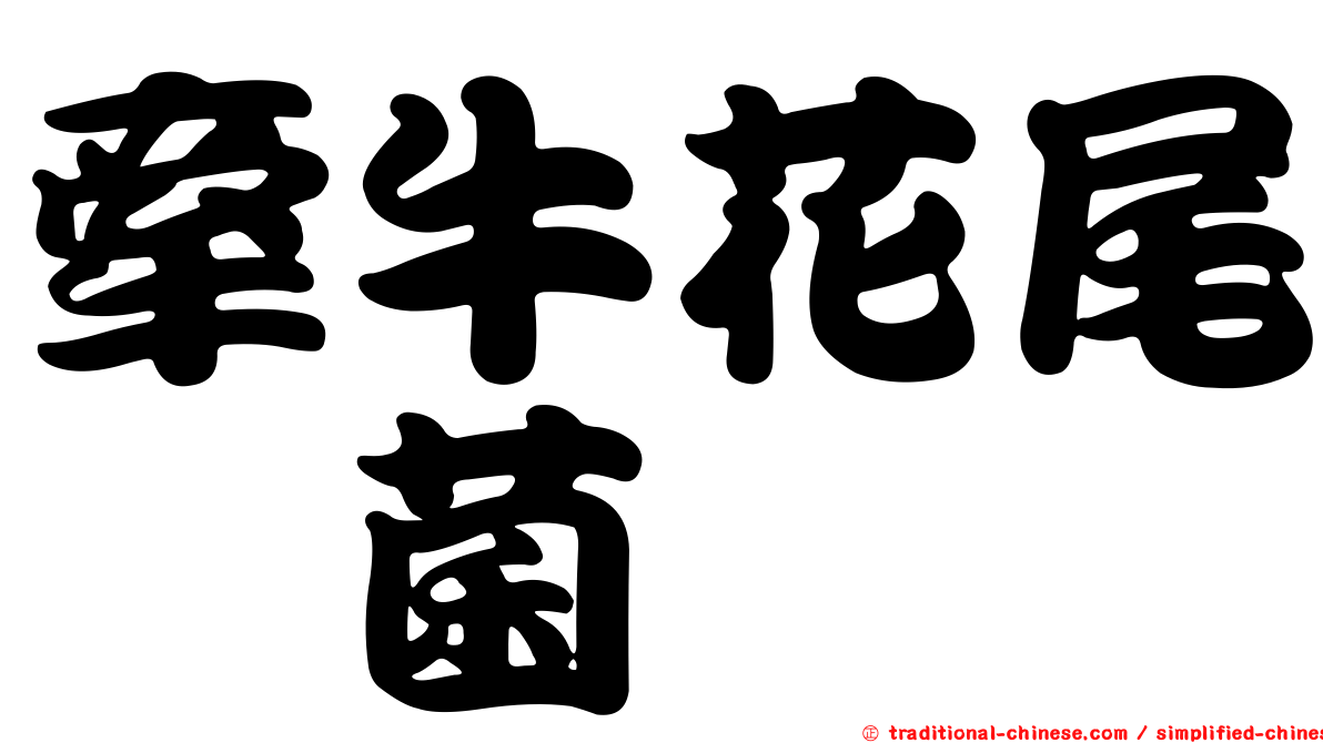 牽牛花尾孢菌