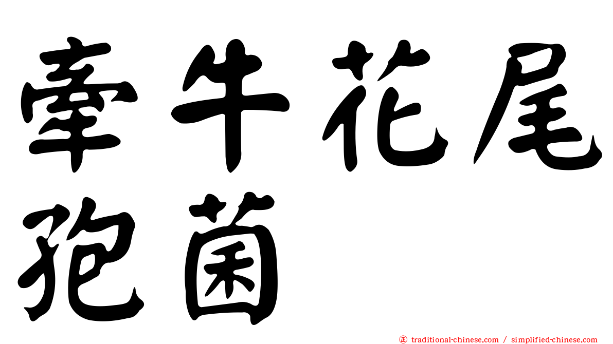 牽牛花尾孢菌