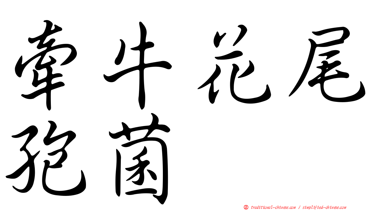 牽牛花尾孢菌