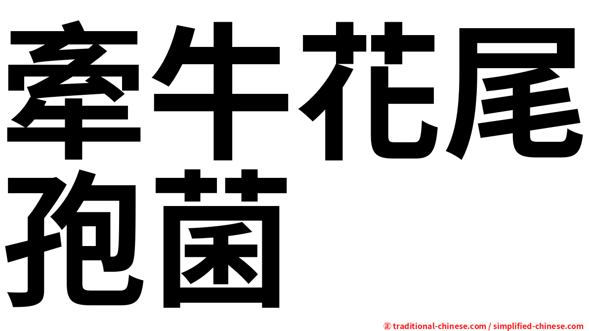 牽牛花尾孢菌