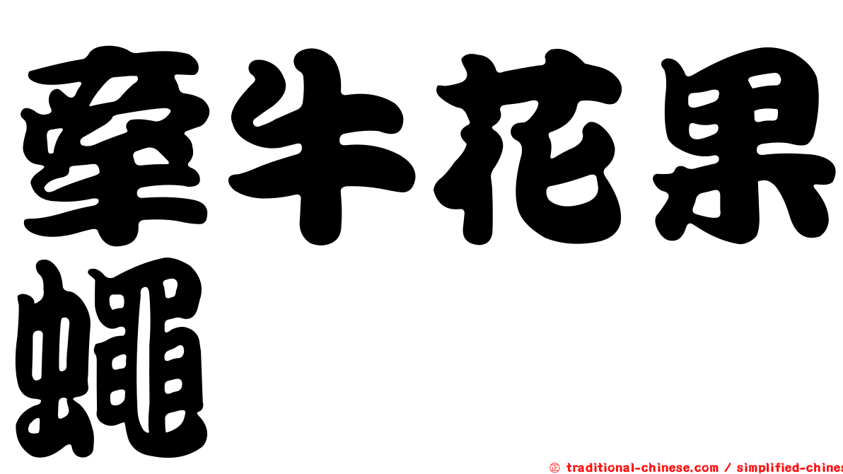 牽牛花果蠅