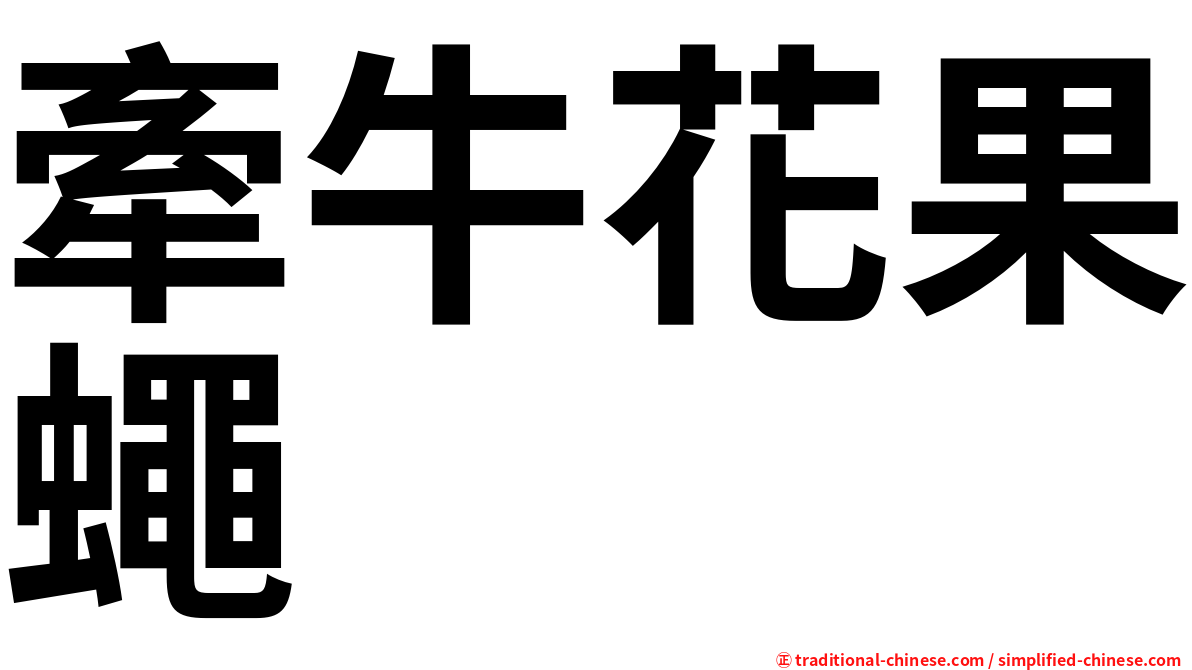 牽牛花果蠅