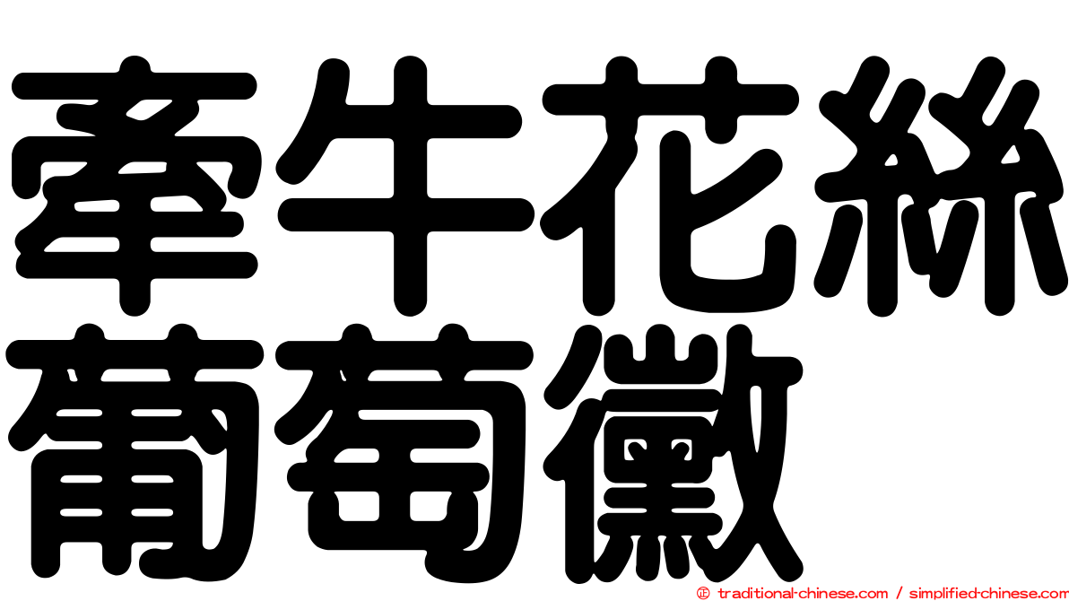 牽牛花絲葡萄黴