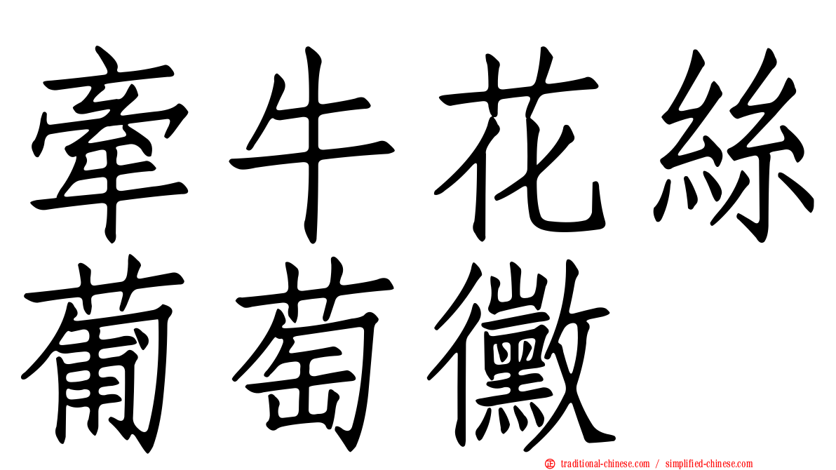 牽牛花絲葡萄黴