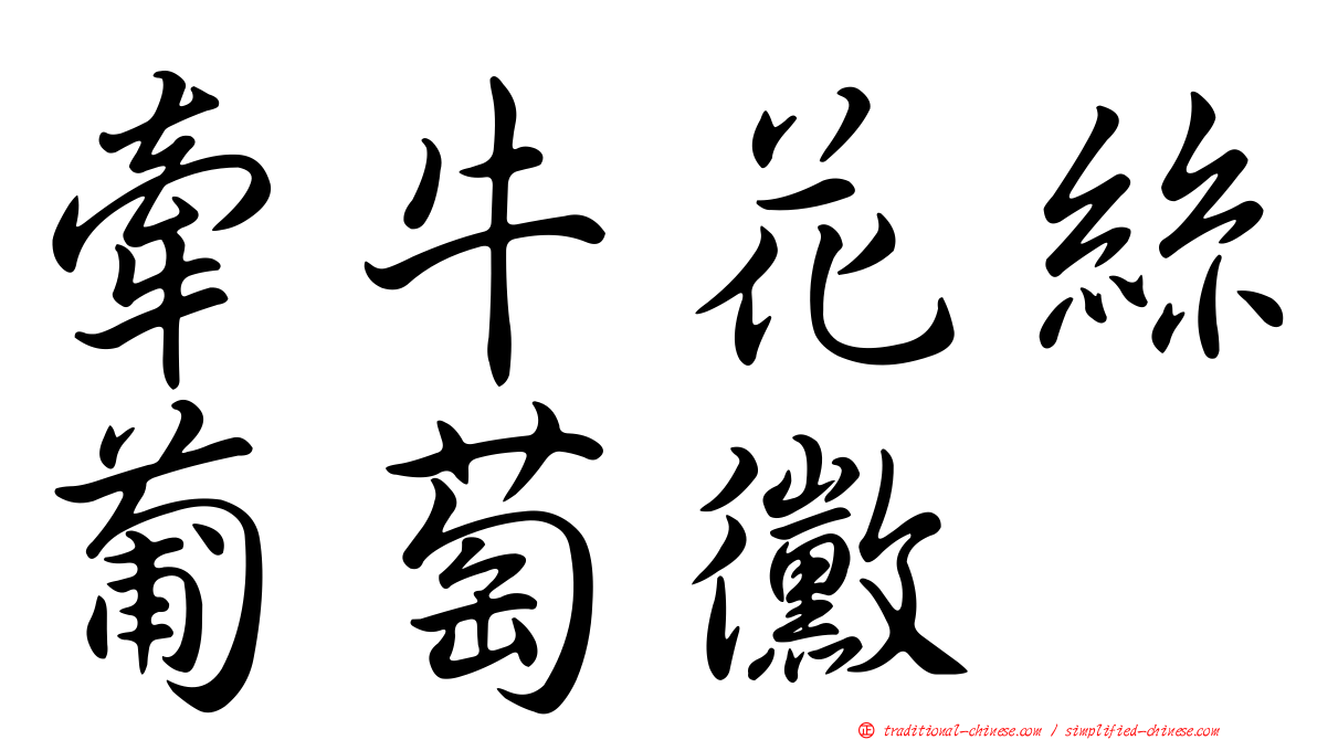 牽牛花絲葡萄黴