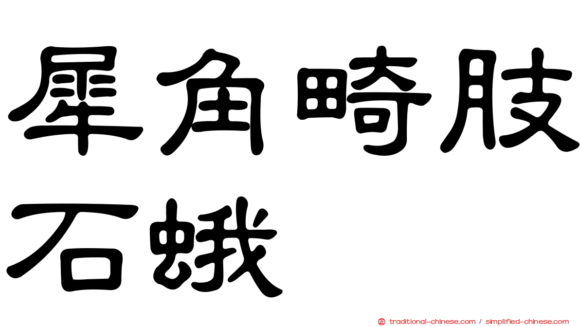 犀角畸肢石蛾