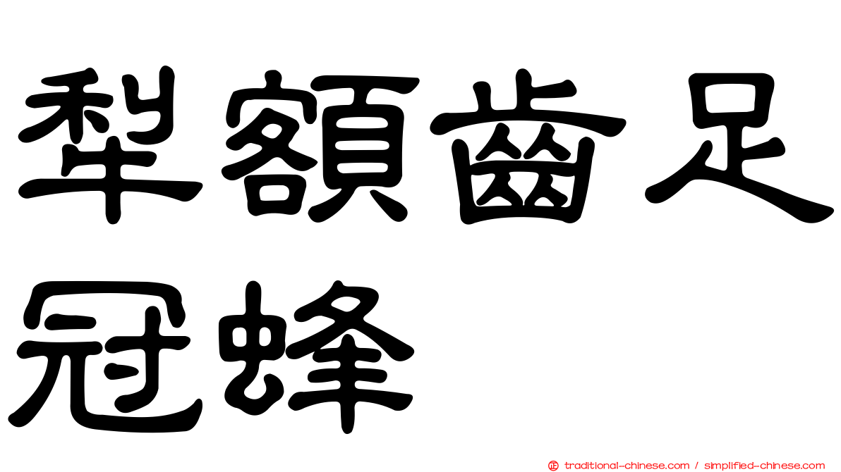 犁額齒足冠蜂