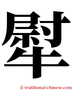 犚 serif font