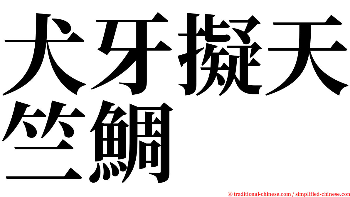 犬牙擬天竺鯛 serif font
