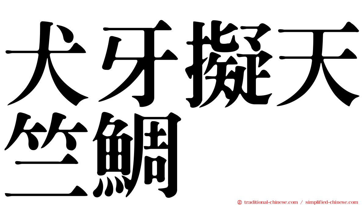犬牙擬天竺鯛