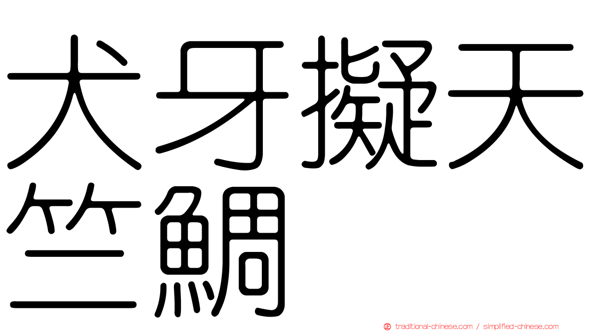 犬牙擬天竺鯛