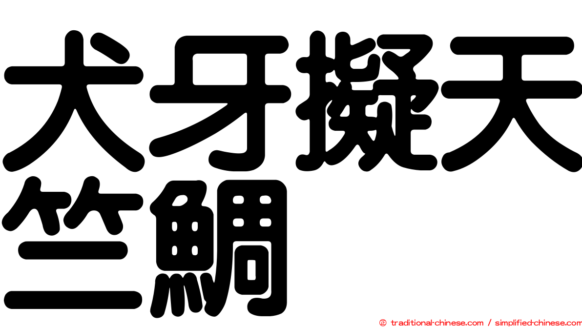 犬牙擬天竺鯛