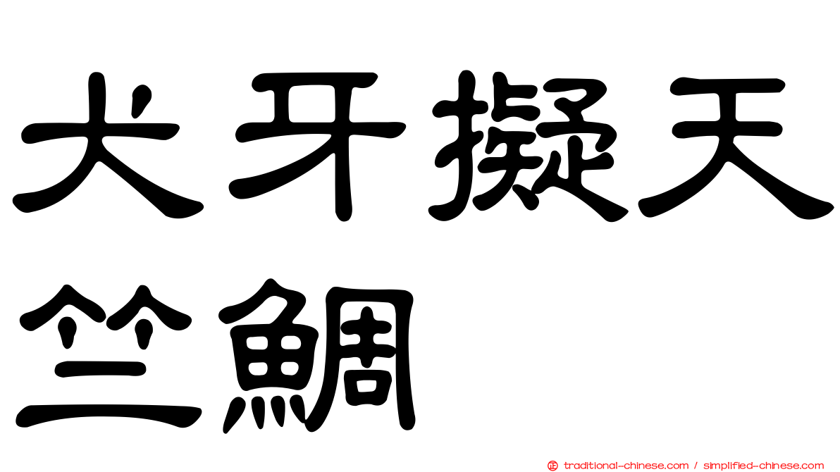犬牙擬天竺鯛