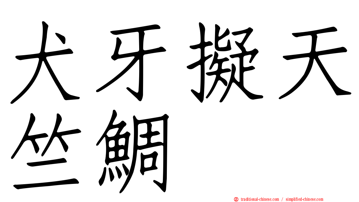 犬牙擬天竺鯛