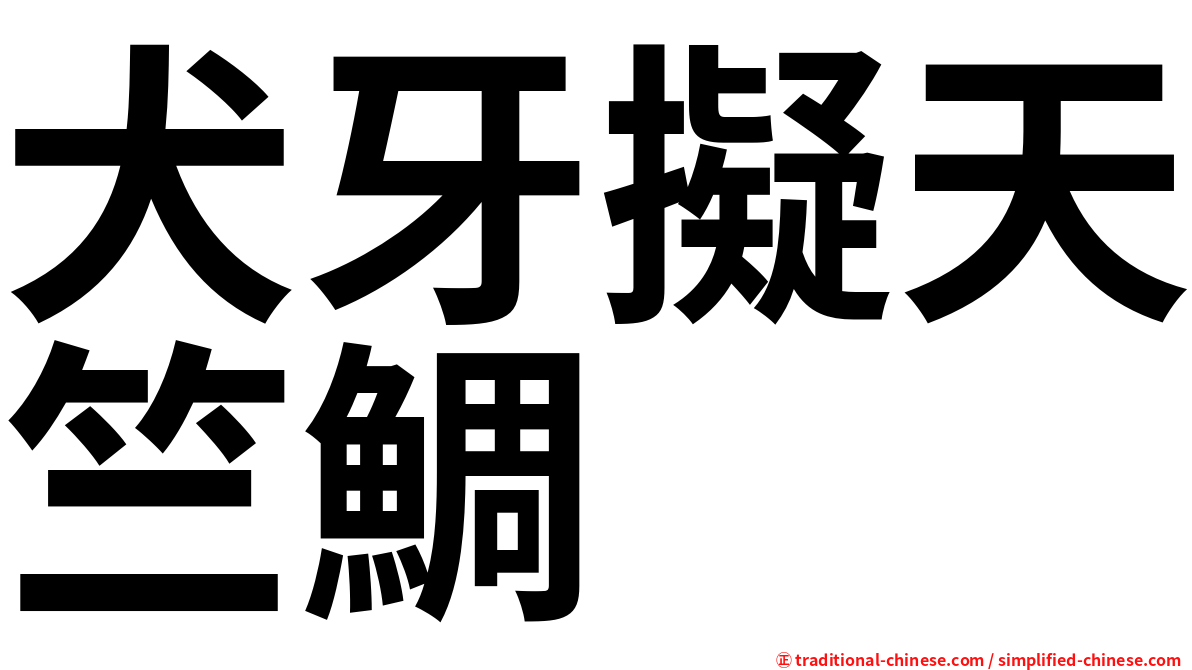犬牙擬天竺鯛