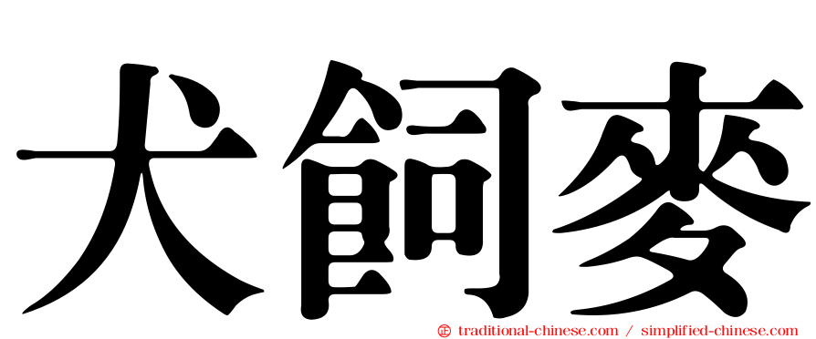 犬飼麥