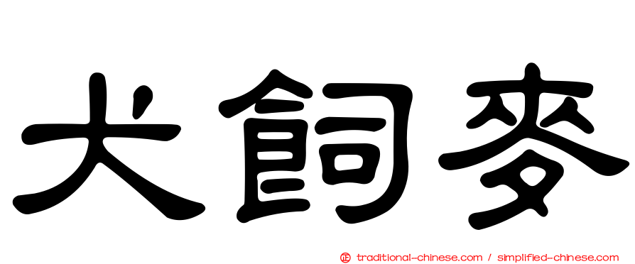 犬飼麥