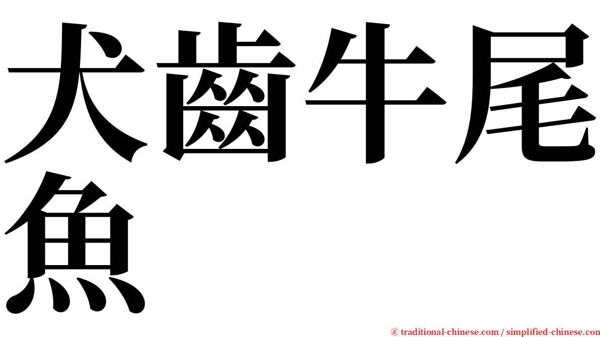 犬齒牛尾魚 serif font