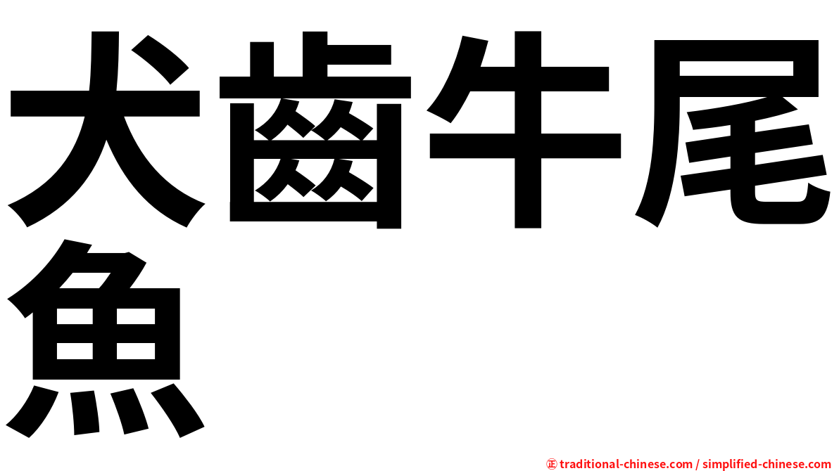 犬齒牛尾魚