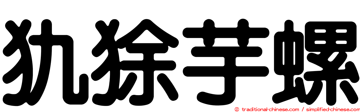 犰狳芋螺