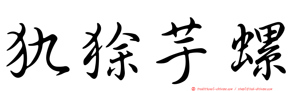 犰狳芋螺