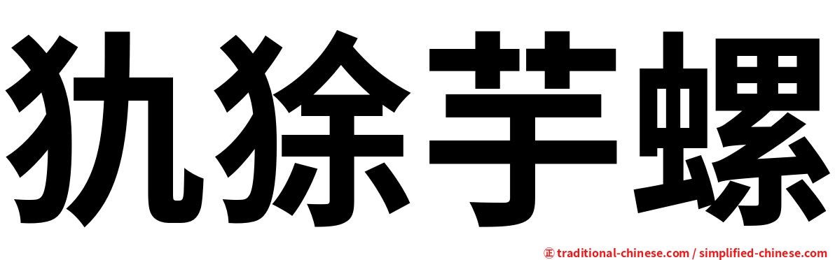 犰狳芋螺