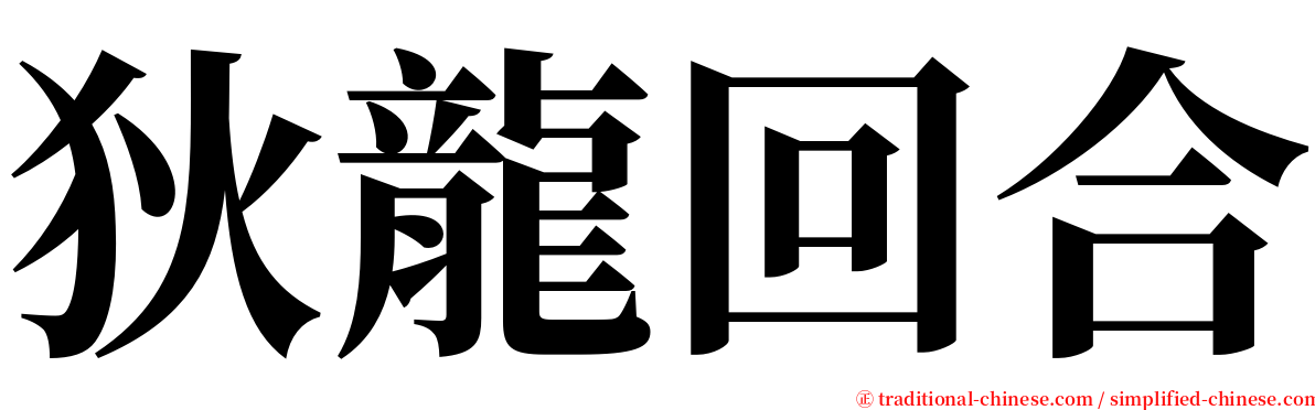 狄龍回合 serif font