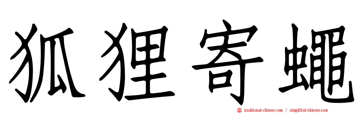 狐狸寄蠅