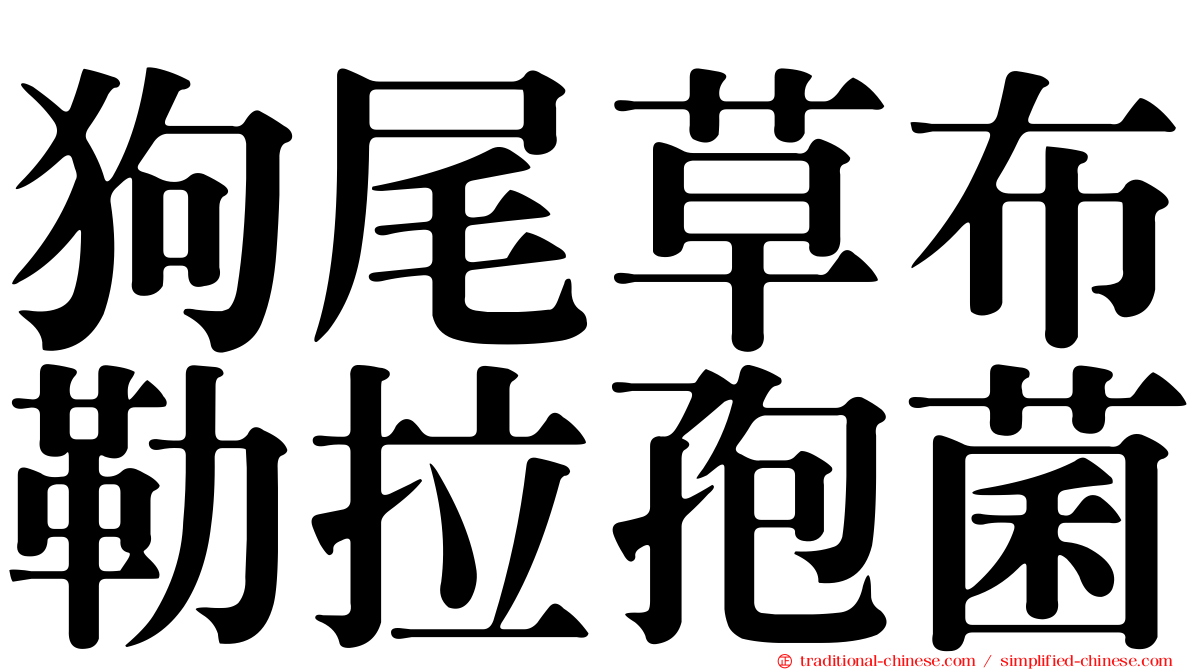 狗尾草布勒拉孢菌