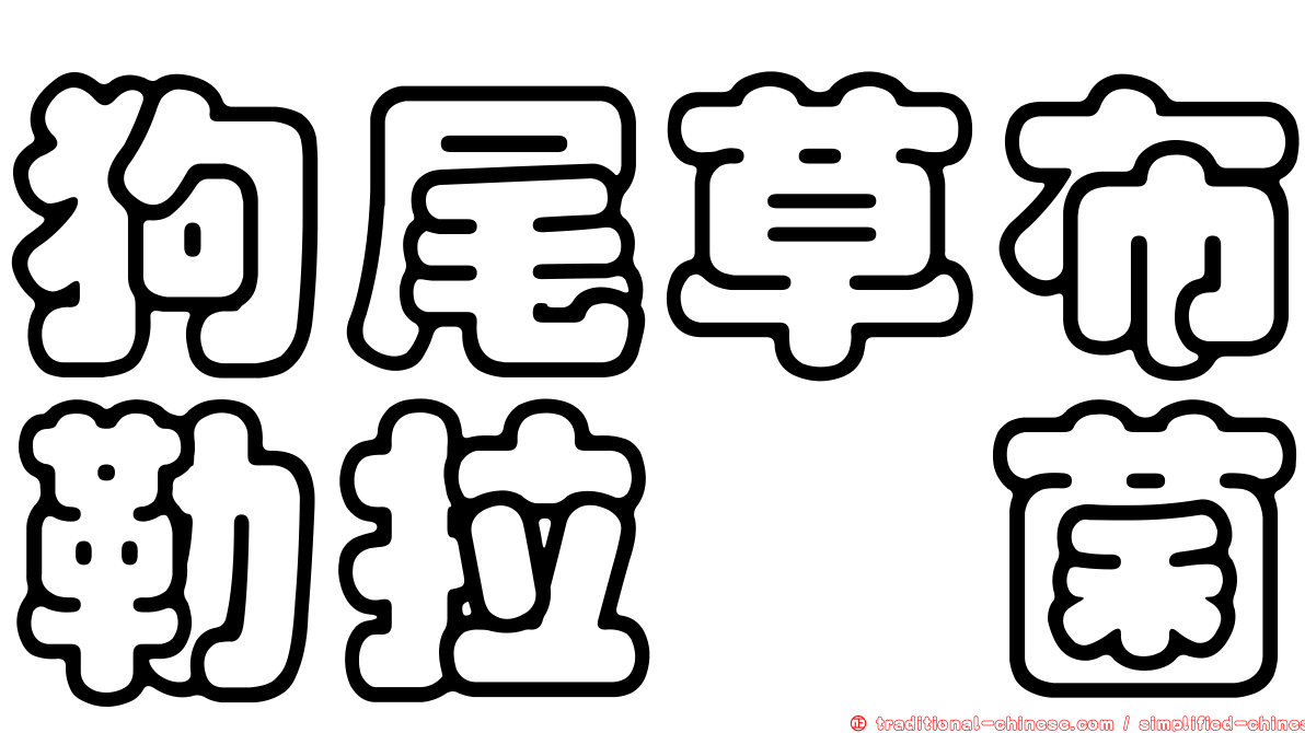 狗尾草布勒拉孢菌