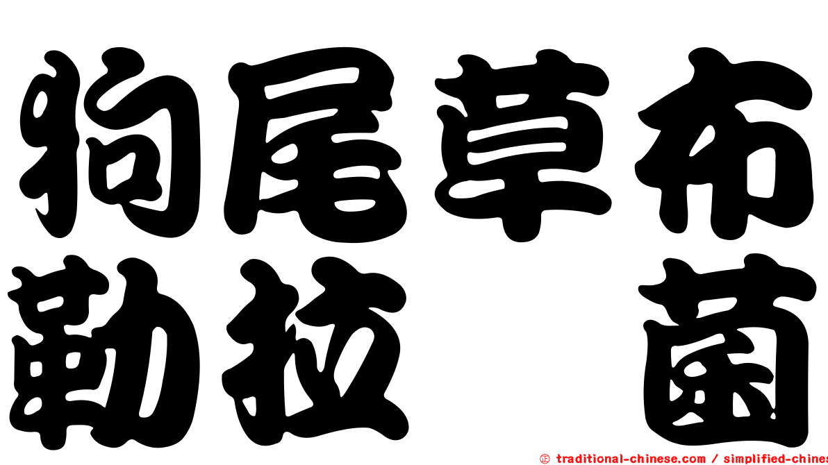 狗尾草布勒拉孢菌