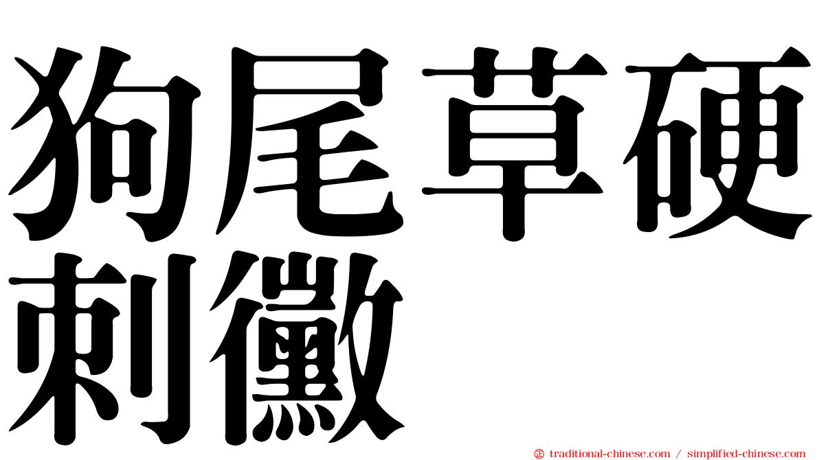 狗尾草硬刺黴
