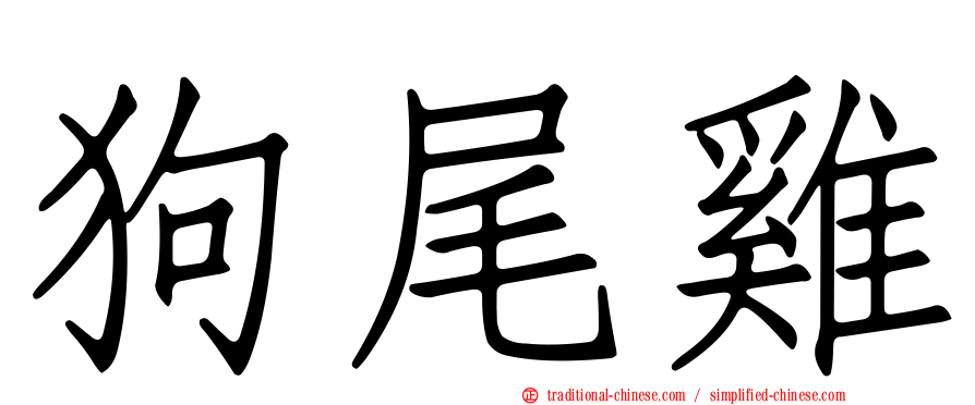 狗尾雞