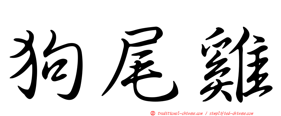 狗尾雞