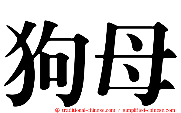 狗母