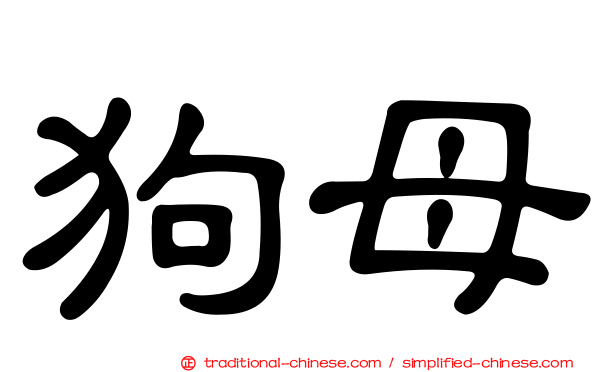 狗母