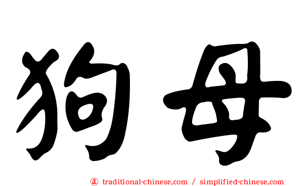 狗母
