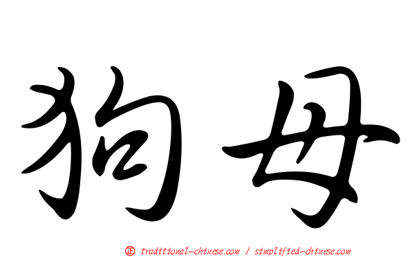 狗母