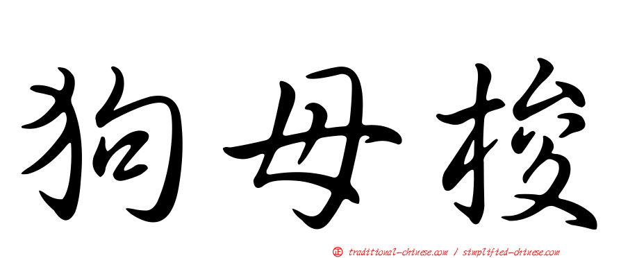 狗母梭
