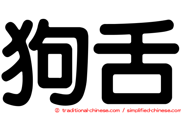 狗舌