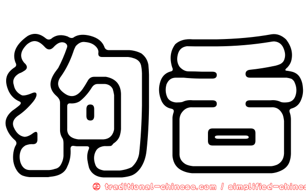 狗舌