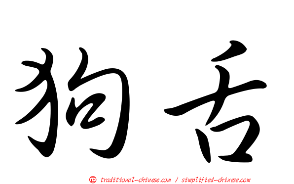 狗舌