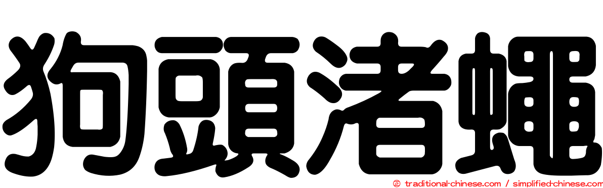 狗頭渚蠅