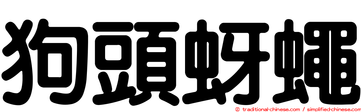 狗頭蚜蠅