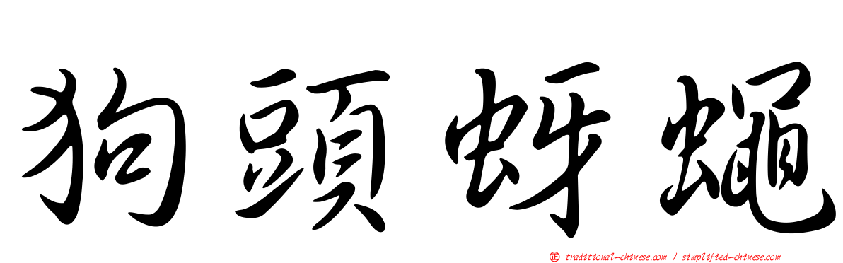 狗頭蚜蠅